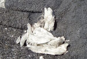 解体工事 解体業者 兵庫 神戸