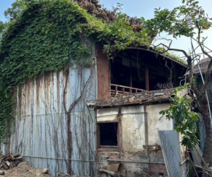 解体工事 解体業者 兵庫 神戸