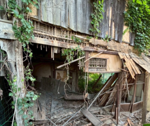 解体工事 解体業者 兵庫 神戸