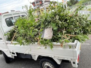 解体工事 解体業者 兵庫 神戸